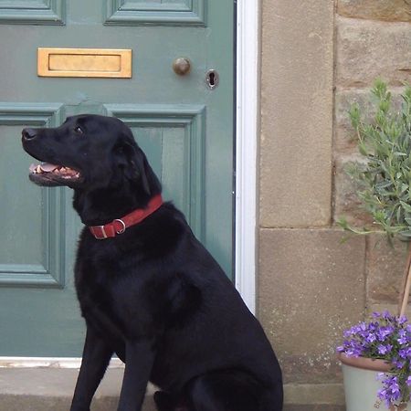 Fern Bank Bed & Breakfast Great Rowsley Luaran gambar