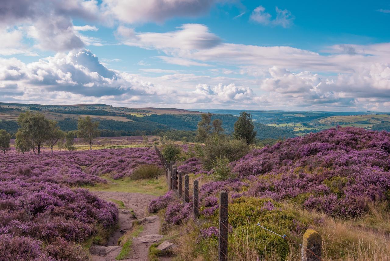 Fern Bank Bed & Breakfast Great Rowsley Luaran gambar
