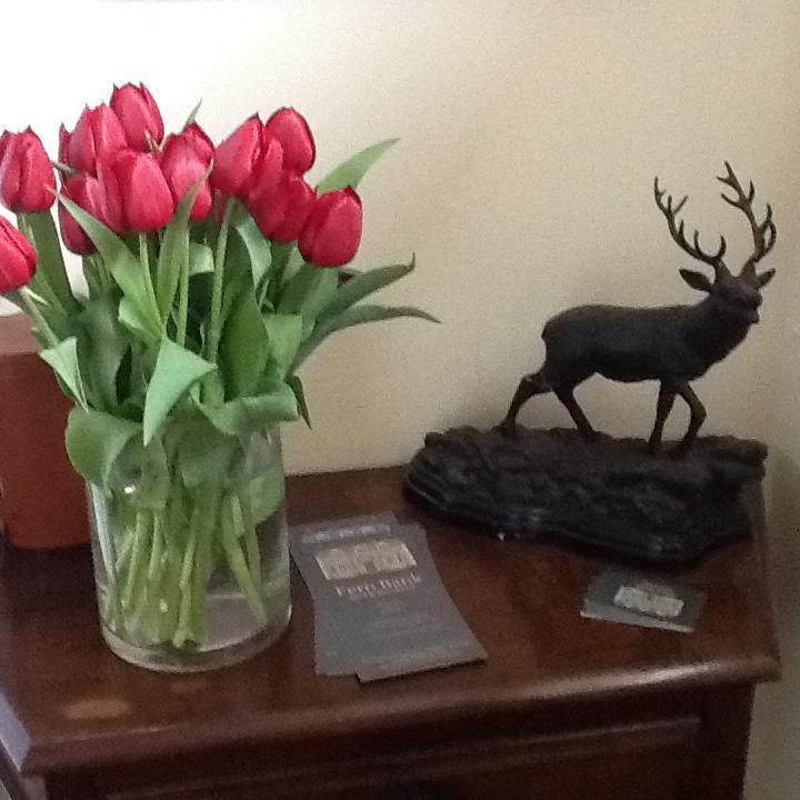 Fern Bank Bed & Breakfast Great Rowsley Luaran gambar