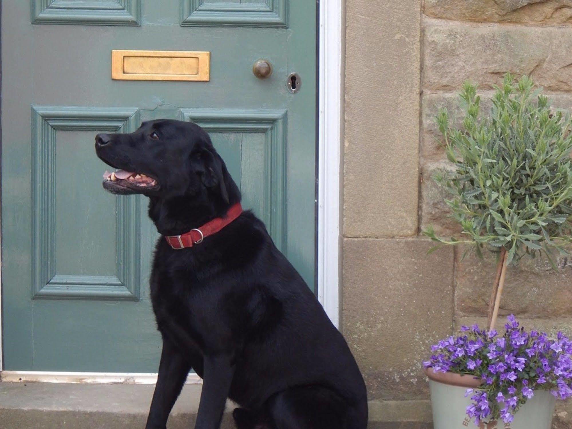 Fern Bank Bed & Breakfast Great Rowsley Luaran gambar